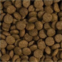 Tropidog Super Premium Adulto Di Razza Media E Grande Pollo E Salmone 15kg 7 Tropidog Super Premium Adulto Di Razza Media E Grande Pollo E Salmone 15kg -BRIT in Italia ita pl Tropidog Super Premium Adulto di razza media e grande Pollo e salmone 15kg 8085 3