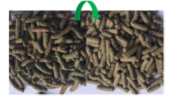 Versele-Laga Cuni Sensitive Complete - Cibo Per Conigli 1.75kg 7 Versele-Laga Cuni Sensitive Complete - Cibo Per Conigli 1.75kg -BRIT in Italia ita pl Versele Laga Cuni Sensitive Complete Cibo per conigli 1 75kg 13648 3