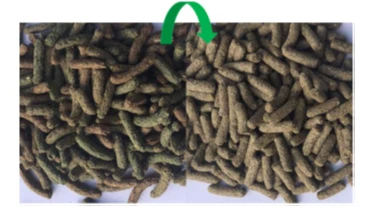 Versele-Laga Cuni Sensitive Complete - Cibo Per Conigli 1.75kg 5 Versele-Laga Cuni Sensitive Complete - Cibo Per Conigli 1.75kg - immagine 3