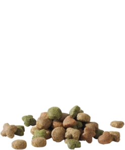 Versele-Laga Happy Life Adulto Con Agnello 15kg + Sorpresa Per Il Cane GRATIS 9 Versele-Laga Happy Life Adulto Con Agnello 15kg + Sorpresa Per Il Cane GRATIS -BRIT in Italia ita pl Versele Laga Happy Life Adulto con Agnello 15kg sorpresa per il cane GRATIS 24013 2