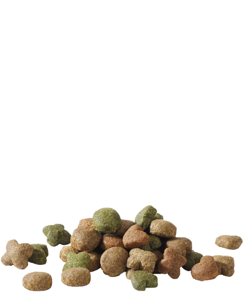 Versele-Laga Happy Life Adulto Con Agnello 15kg + Sorpresa Per Il Cane GRATIS 5 Versele-Laga Happy Life Adulto Con Agnello 15kg + Sorpresa Per Il Cane GRATIS - immagine 3