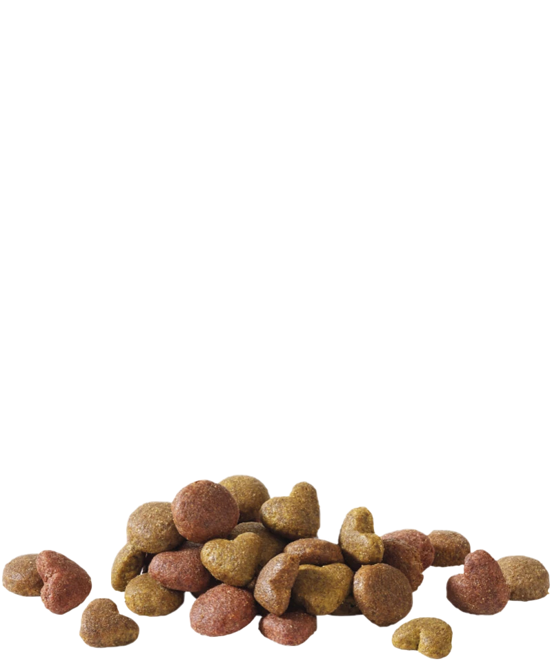 Versele-Laga Happy Life Adulto Con Salmone 15kg X2 4 Versele-Laga Happy Life Adulto Con Salmone 15kg X2 - immagine 2