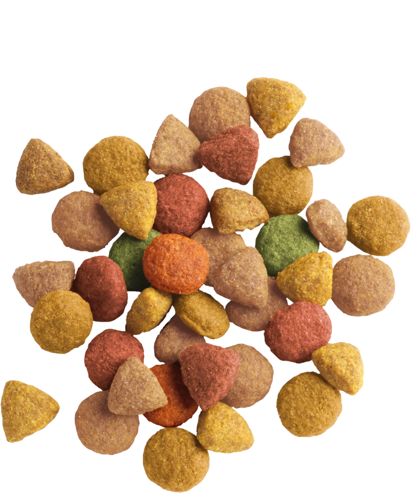 Versele-Laga Lara Adult Tacchino E Pollo 10kg X2 4 Versele-Laga Lara Adult Tacchino E Pollo 10kg X2 - immagine 2