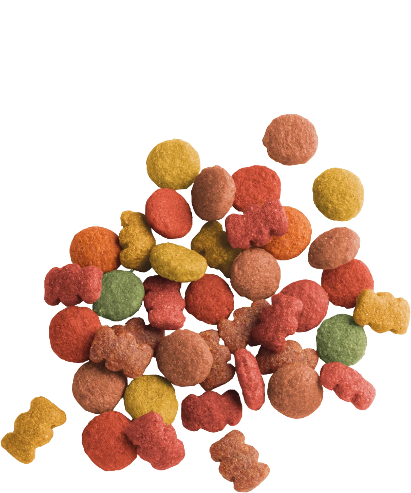 Versele-Laga Lara Adulto Manzo 10kg X2 4 Versele-Laga Lara Adulto Manzo 10kg X2 - immagine 2