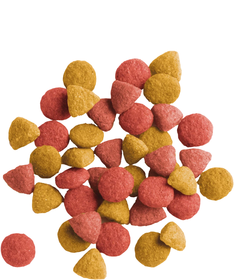 Versele-Laga Lara Adulto Sterilizzato Con Pollo 10kg 4 Versele-Laga Lara Adulto Sterilizzato Con Pollo 10kg - immagine 2