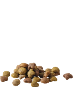 Versele-Laga Luce Della Vita Felice Pollo Senior 15kg X2 -BRIT in Italia ita pl Versele Laga Luce della vita felice Pollo Senior 15kg x2 20642 2