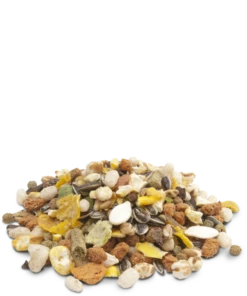 Versele-Laga Muesli Croccante - Hamster & Co 20kg X2 -BRIT in Italia ita pl Versele Laga Muesli croccante Hamster Co 20kg x2 20650 2