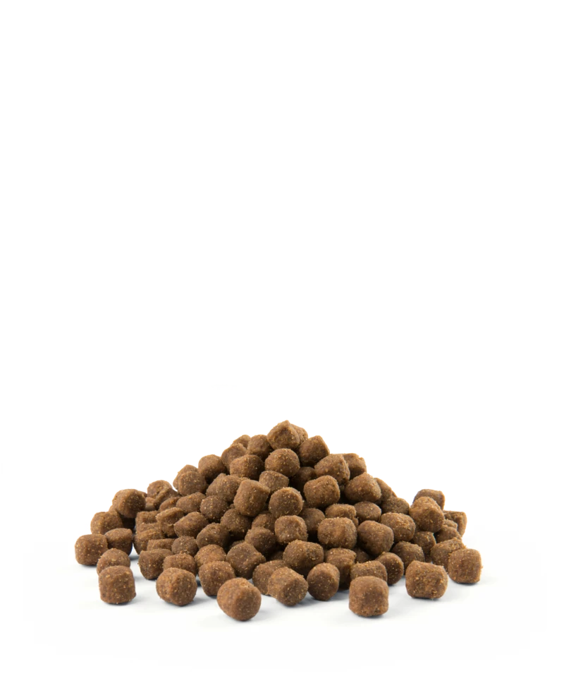 Versele-Laga Opti Life Adult Light Mini Pollo Con Riso 7.5kg X2 5 Versele-Laga Opti Life Adult Light Mini Pollo Con Riso 7.5kg X2 - immagine 3