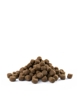 Versele-Laga Opti Life Adulto Digestion Medium&Maxi Agnello E Riso 12,5kg X2