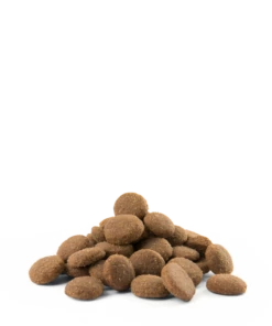 Versele-Laga Opti Life Adulto Maxi Pollo Con Riso 12,5 Kg + Sorpresa Per Il Cane GRATIS -BRIT in Italia ita pl Versele Laga Opti Life Adulto Maxi pollo con riso 12 5 kg sorpresa per il cane GRATIS 23982 3