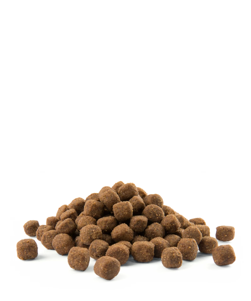 Versele-Laga Opti Life Adulto Medio Con Pollo E Riso 12,5 Kg 4 Versele-Laga Opti Life Adulto Medio Con Pollo E Riso 12,5 Kg - immagine 2