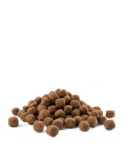 Versele-Laga Opti Life Adulto Medio Con Pollo E Riso 12,5 Kg X2