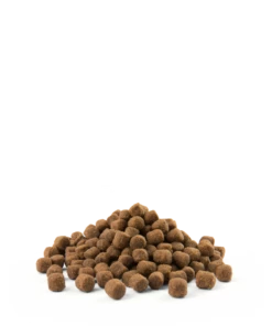 Versele-Laga Opti Life Adulto Mini Con Pollo E Riso 2,5 Kg -BRIT in Italia ita pl Versele Laga Opti Life Adulto Mini con pollo e riso 2 5 kg 16119 3