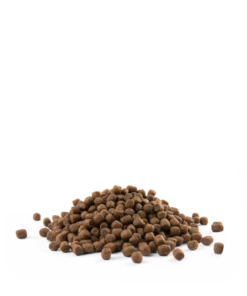 Versele-Laga Opti Life Cucciolo Mini Per Cuccioli Di Piccole Razze Pollo E Riso 7,5kg 5 Versele-Laga Opti Life Cucciolo Mini Per Cuccioli Di Piccole Razze Pollo E Riso 7,5kg -BRIT in Italia ita pl Versele Laga Opti Life Cucciolo Mini per cuccioli di piccole razze pollo e riso 7 5kg 14599 3