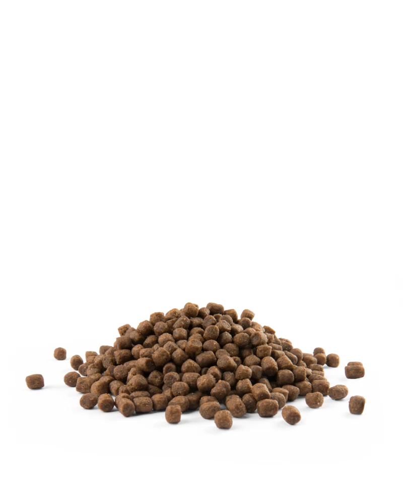 Versele-Laga Opti Life Cucciolo Mini Per Cuccioli Di Piccole Razze Pollo E Riso 7,5kg 4 Versele-Laga Opti Life Cucciolo Mini Per Cuccioli Di Piccole Razze Pollo E Riso 7,5kg - immagine 2