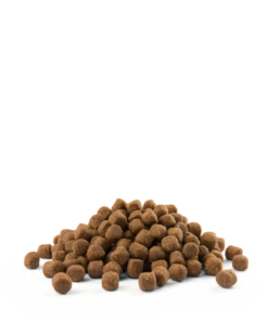 Versele-Laga Opti Life Cucciolo Salmone Sensibile Con Riso 12,5 Kg X2 -BRIT in Italia ita pl Versele Laga Opti Life Cucciolo Salmone sensibile con riso 12 5 kg x2 20622 3