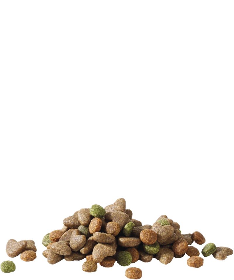 Versele-Laga Vita Felice Pollo Junior 10kg X2 4 Versele-Laga Vita Felice Pollo Junior 10kg X2 - immagine 2